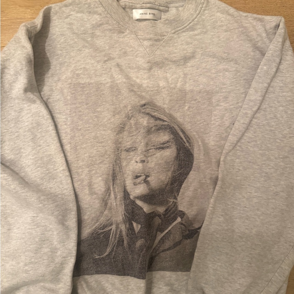 Anine Bing Light Gray Sweatshirt
